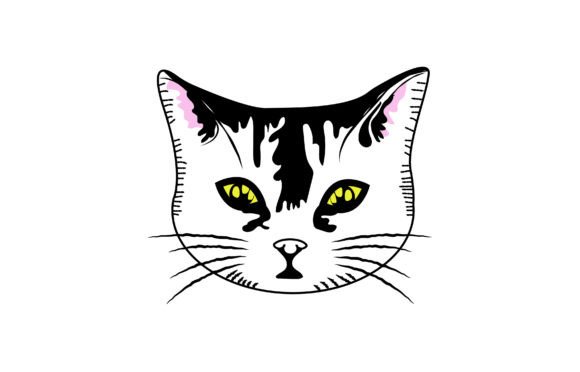 Cat Face Illustration Review